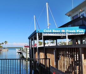 Cold beer and fresh fish on Dunedin's waterfront