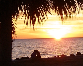 Sunsets serenade on dunedin's coastline