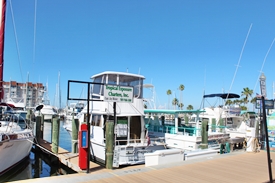 Book a charter in Dunedin's Marina