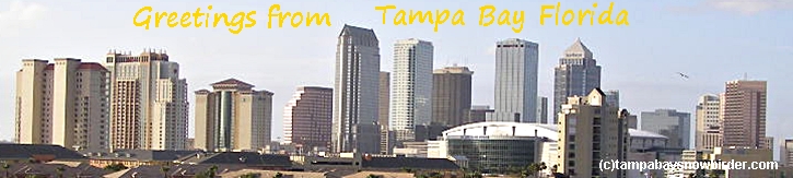 What is there to do in the Tampa Bay Area?