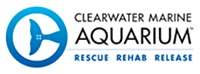 Clearwater Marine Aquarium