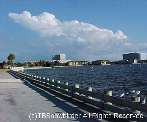 Courtney Campbell Causeway Tampa Bay