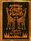 Visit the Girafe Ranch in Dade City, Florida