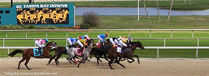 Tampa Bay Downs Horse Racing ticket prices and times></td>

	</tr>

	<tr>

		<td align=